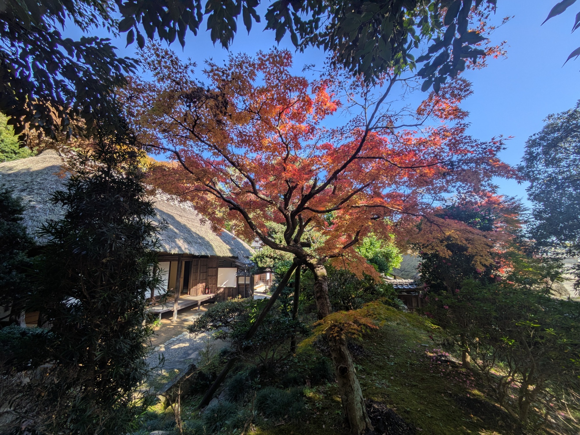 行方大場家歴史資料館　6月臨時開館のお知らせ