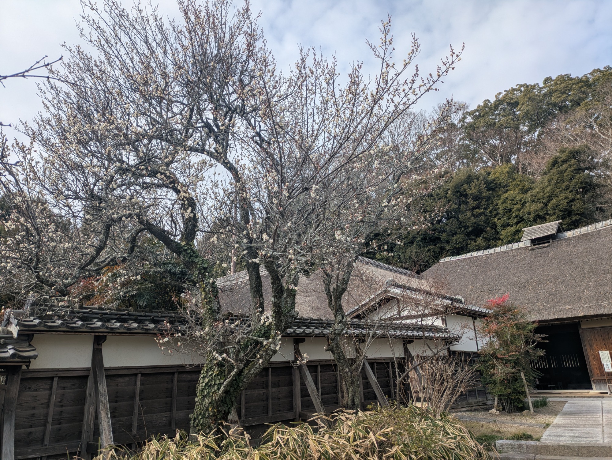 行方大場家歴史資料館　6月臨時開館のお知らせ