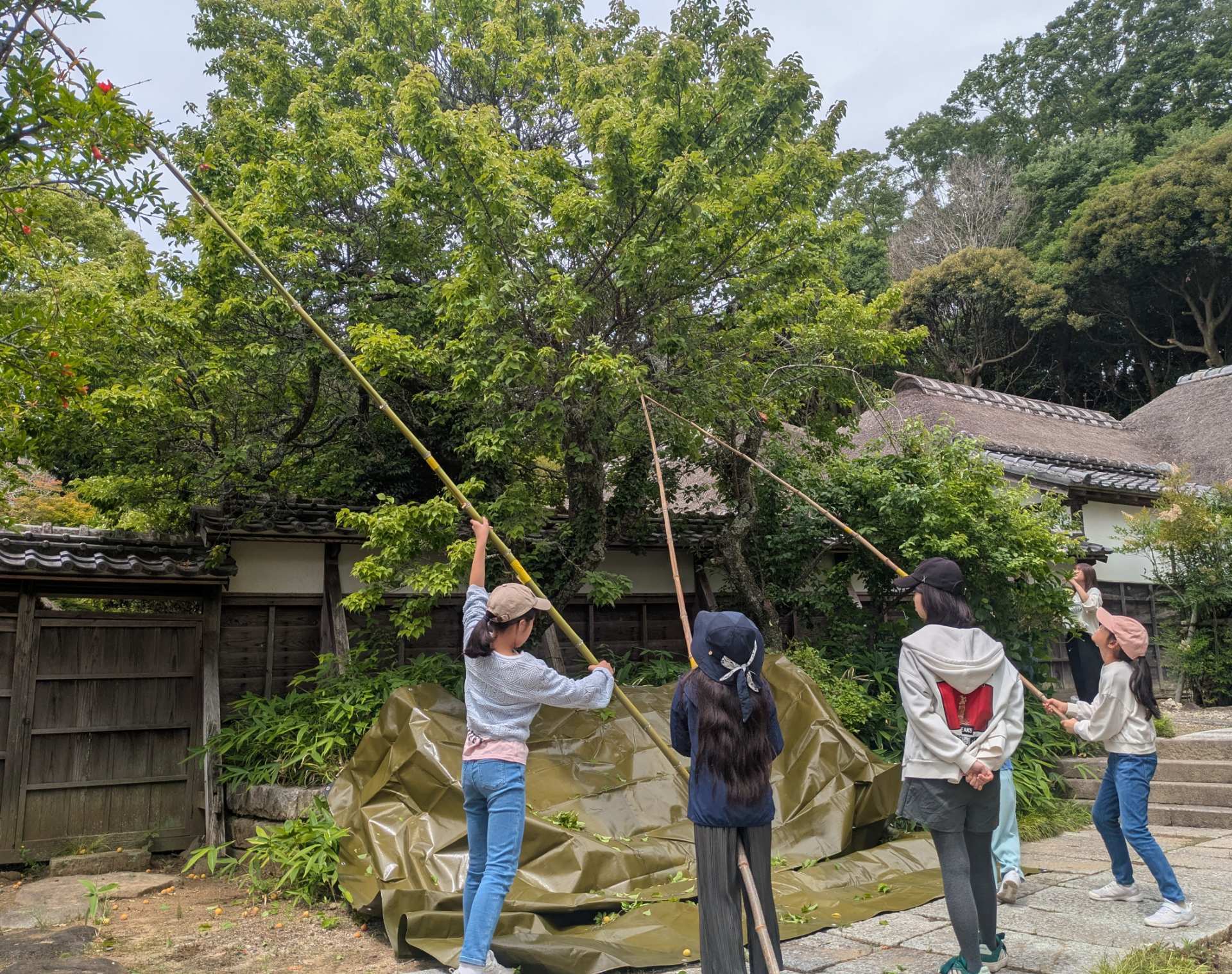 行方大場家歴史資料館 6月臨時開館のお知らせ