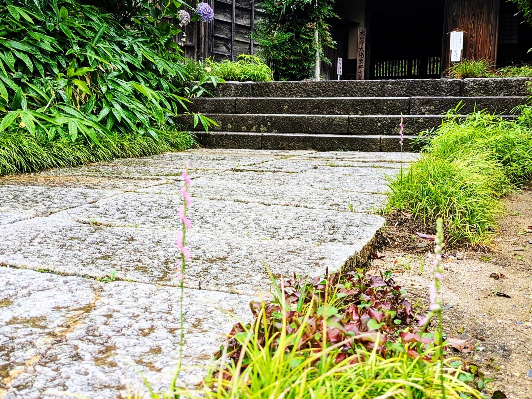 行方大場家歴史資料館 6月臨時開館のお知らせ